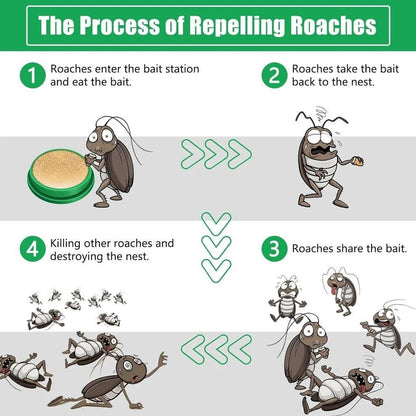 Cockroach Killer Gel |🔥FLAT 50% OFF🔥